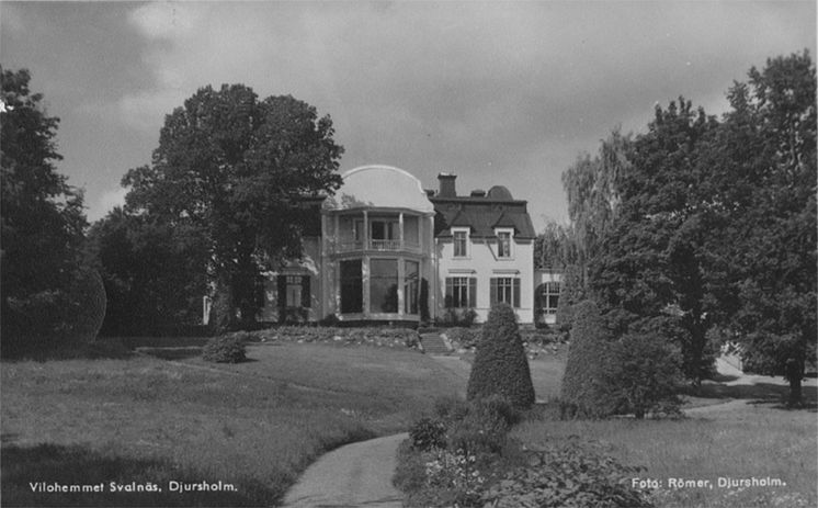 Villa Svalnäs historia