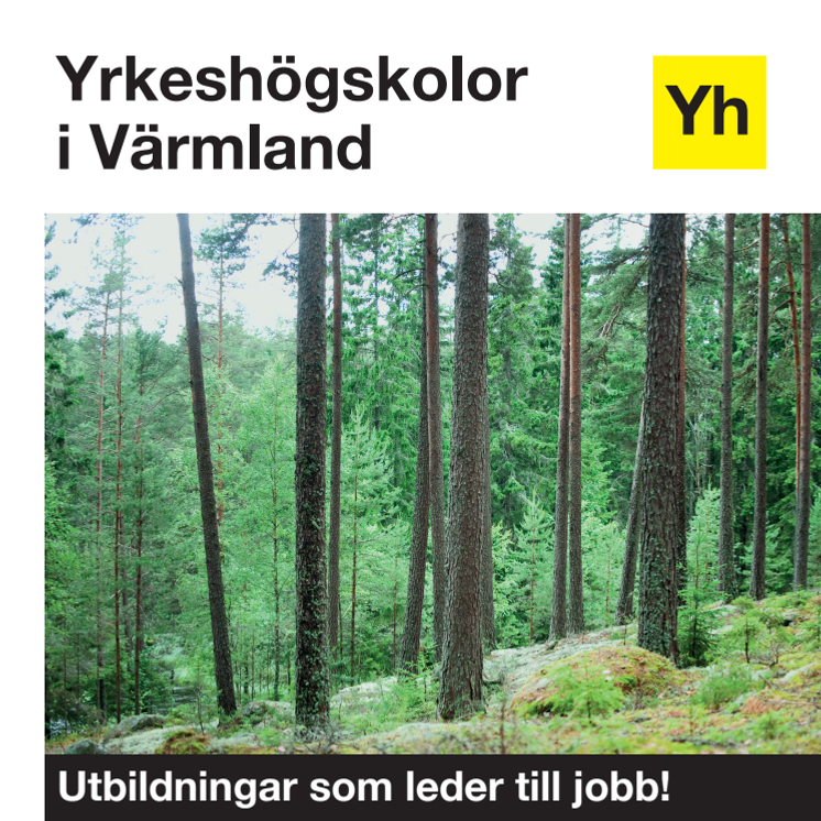 YH Värmland 2018