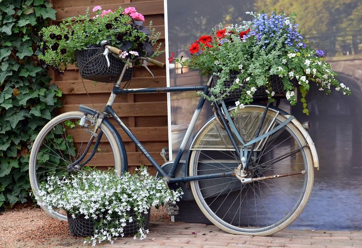 Blomstrande Cykel