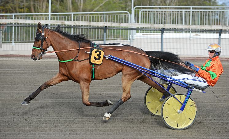 Billie de Montfort får den sista rosa biljetter till Elitloppet 2020. Foto: TR Bild