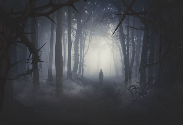 Nyhet Halloween på Liseberg 2019: Skogen