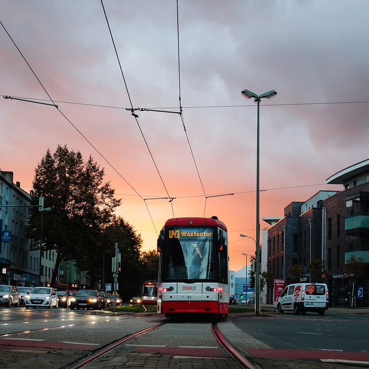 8_Stadtbahn vor Sonnenuntergang.jpg