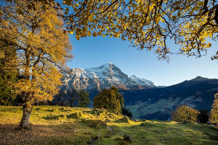 Eiger im Hintergrund.jpg