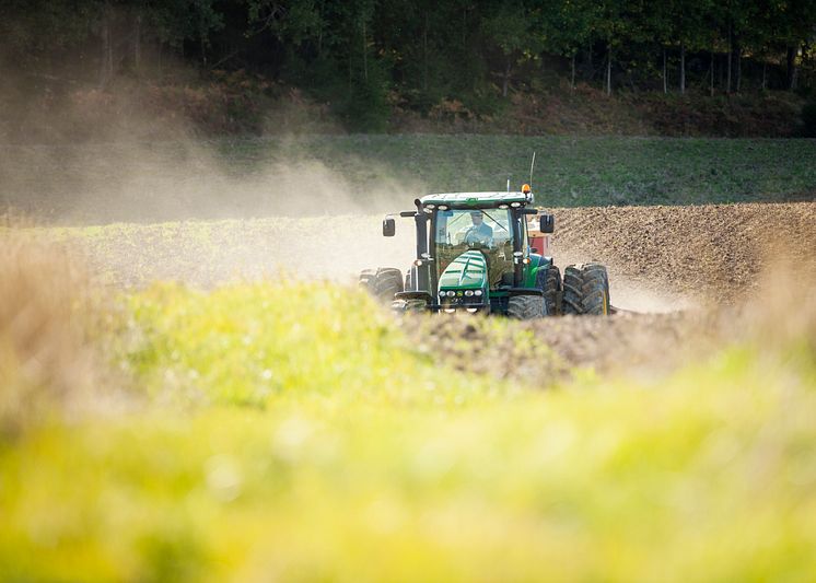 traktor rapsfält