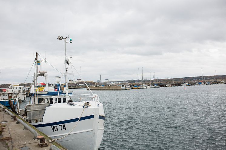 Fiskemöjligheter 2020 - kvoter för Västerhavet klara