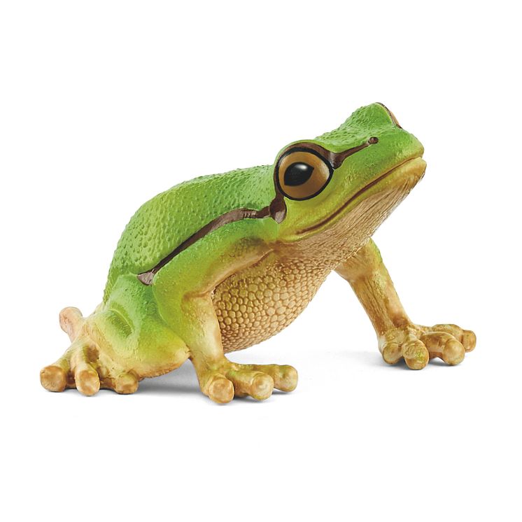 14882_Wild Life_European Tree Frog_(c)schleich®