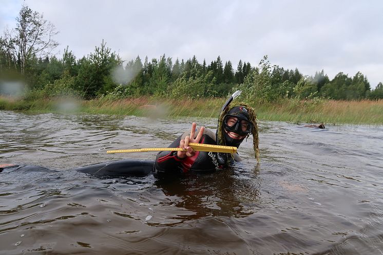 KvarkenFlada-Snorkling-ChristinaJönander-LstVästerbotten.JPG