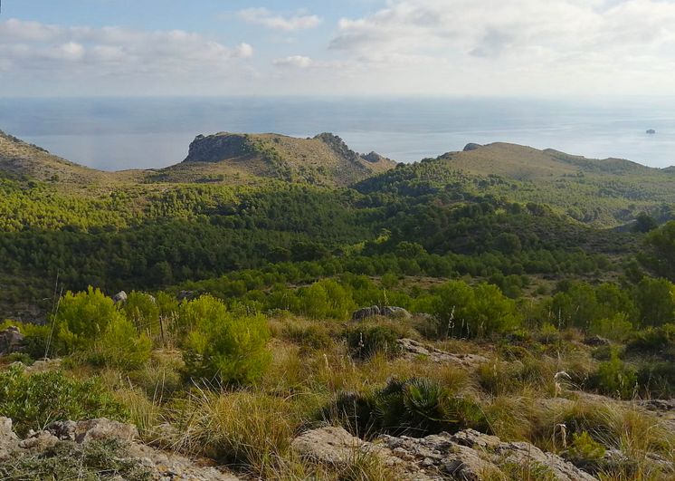 TUI Forest Mallorca_landscape