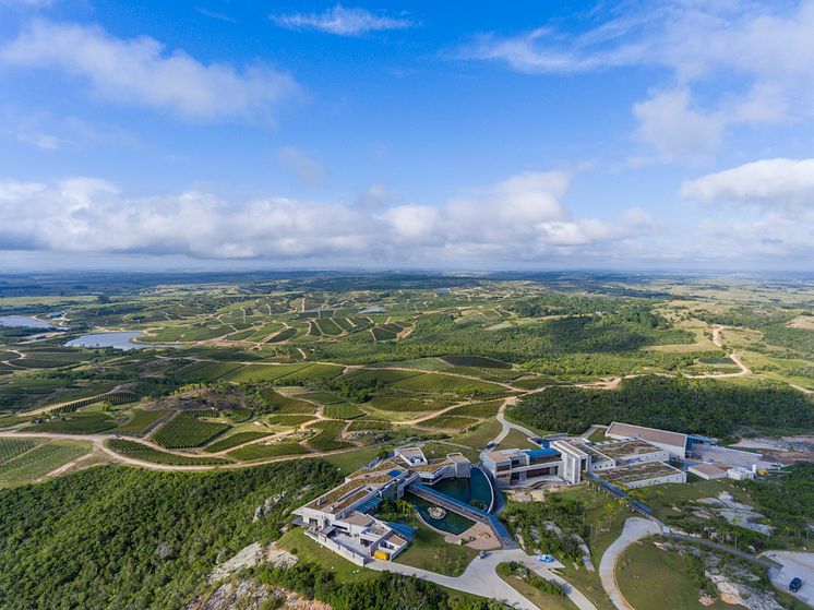 BodegaGarzón_Winery&Vineyards.jpg