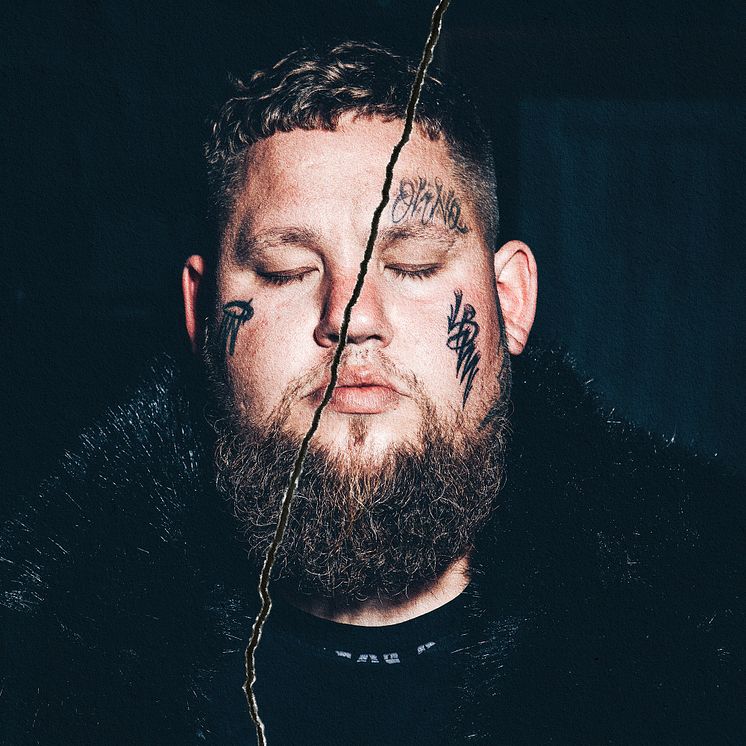 Rag'n'Bone Man - "Life By Misadventure" omslag