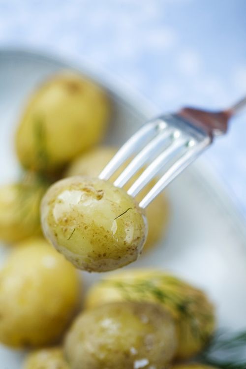 Svensk potatis
