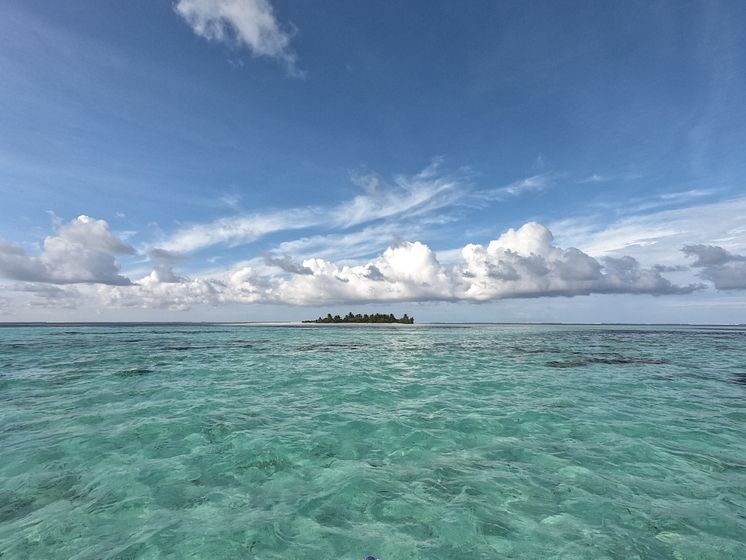 Maldives field trip 2