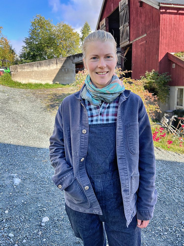 Norsk Gardsost