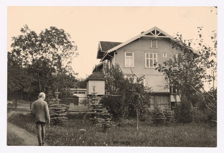 Foto av Edvard Munch i haven på Ekely 1932-33
