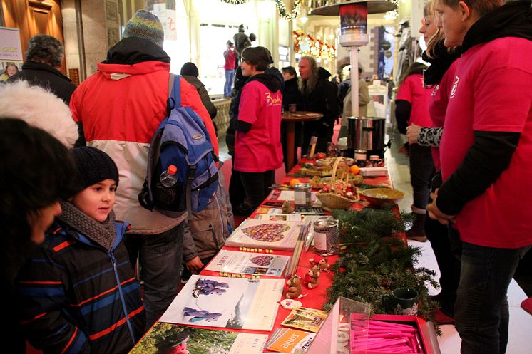 Erfolgreicher Bärenherz-Weihnachtsbasar 2016: Rückblick in Bildern