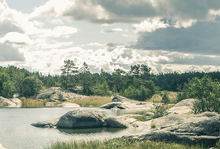 HaV ger 4,2 miljoner till miljöprojekt i kustvatten i Blekinge, Östergötland och Skåne