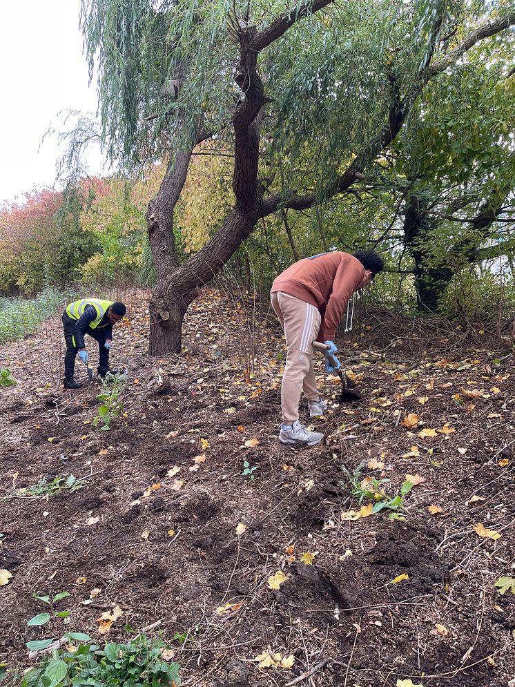 Gerald and Mason hard working