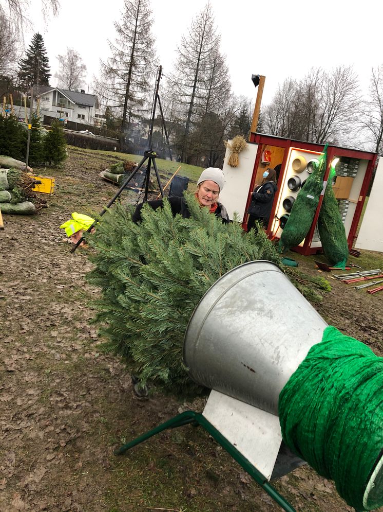 Ingvild H. Rishøi selger juletrær 