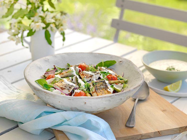 Salat med makrell og rømmedressing