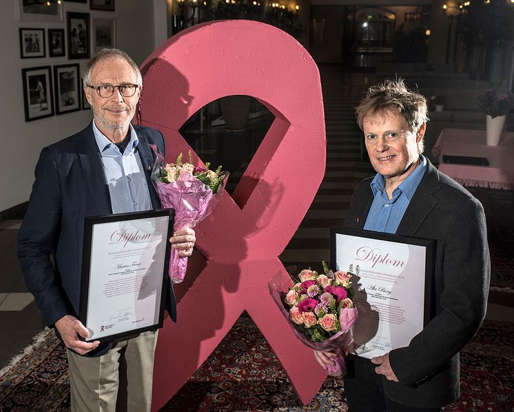 Bröstcancerförbundets Utmärkelse 2019