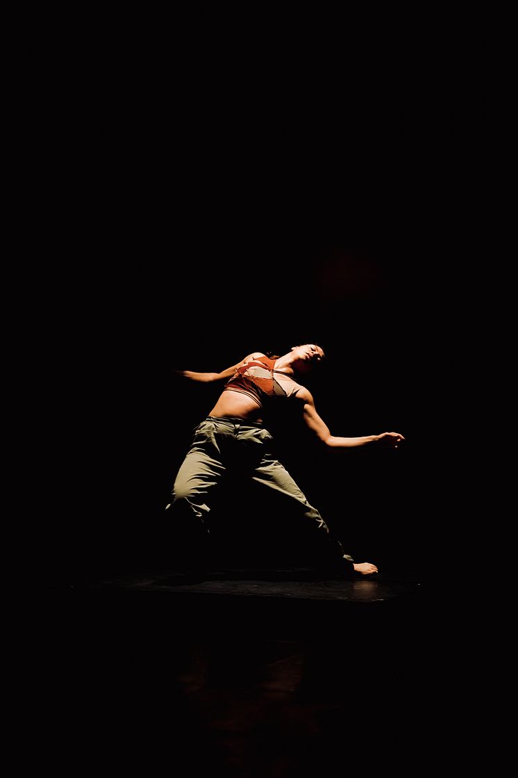 Company Nicolas Huchard - The barefoot diva