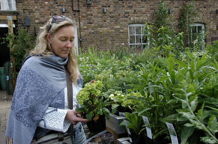 Cecilia Pilbäck trädgårdsmästare brinner för att dra nytta av de befintliga värdena i trädgården.