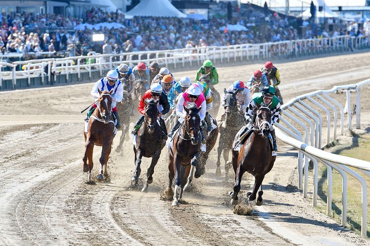 Derbyfältet - Jägersro - foto Stefan Olsson Svensk Galopp