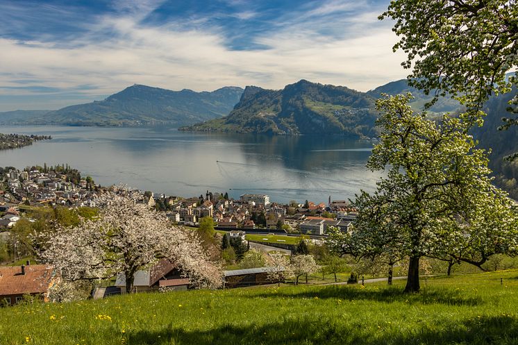 Hergiswil-Panorama-Spring-Lake-Lucerne-Trees_(c) Nidwalden Tourismus.jpg