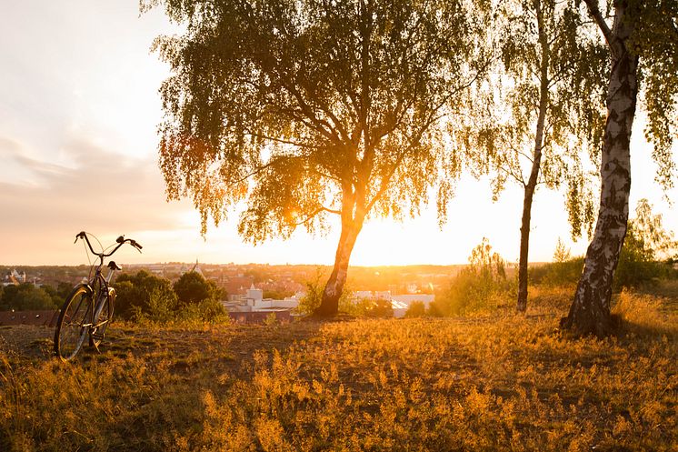 Sunset from Local Hill overlooking Freiberg (5)_Foto_TVE-Greg_Snell_snellmedia.com