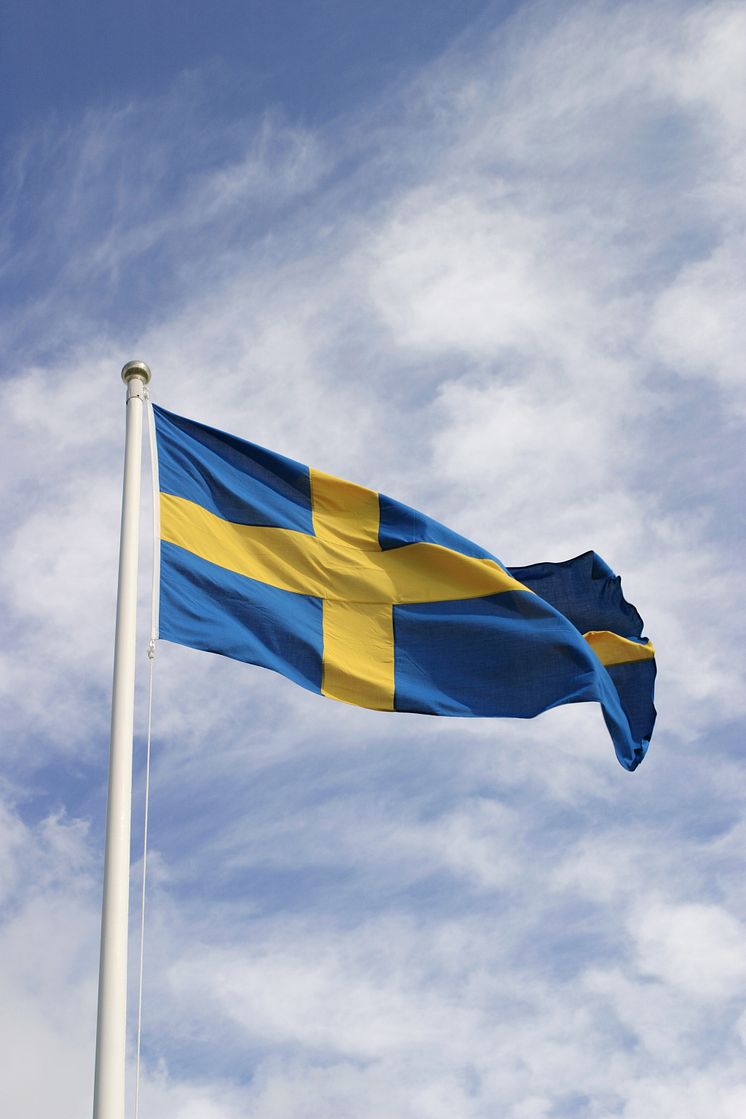 11829411-svenska-flaggan