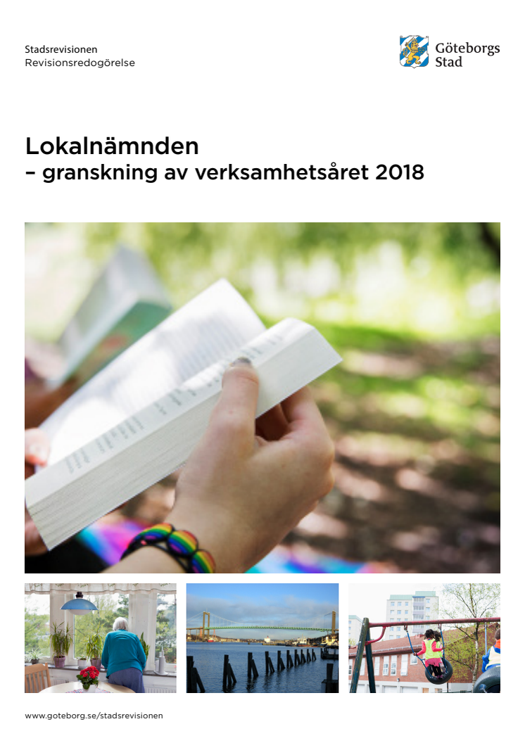 Lokalnämnden – granskning av verksamhetsåret 2018