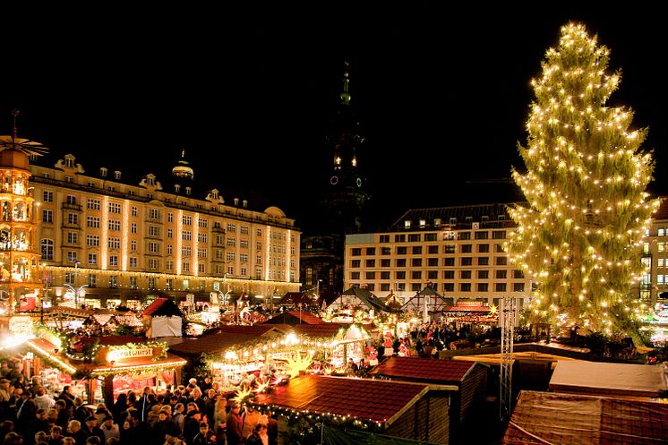 9. Weihnachtsbaum in Dresden