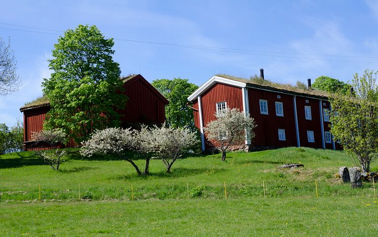 Siggebohyttan vår från baksidan