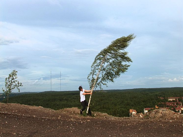 Moulding Nature – Hanna Ljungh – Vedergällning