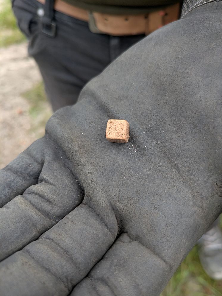 Ein Würfel wurde bei den Grabungen im September 2025 an der Burgruine Glambek gefunden.