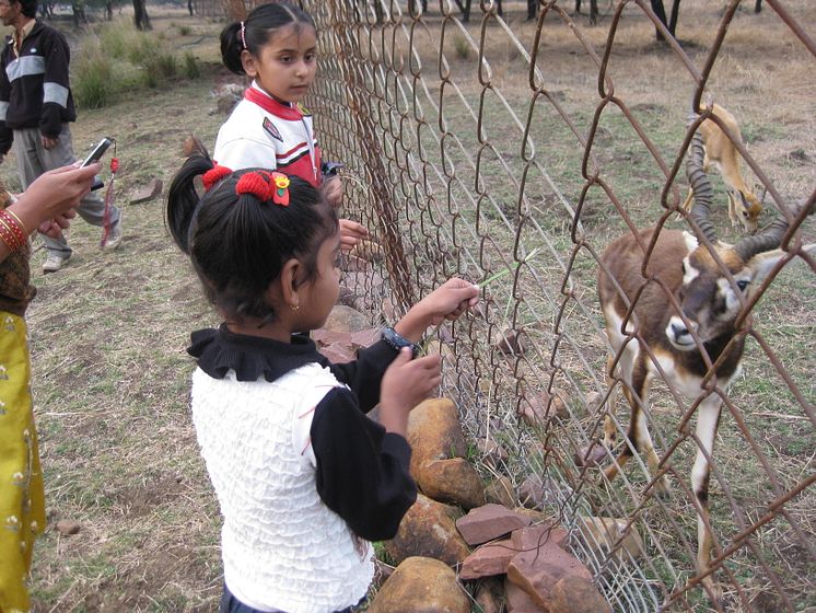 Visit at Zoo in Bhopal 2010