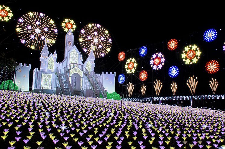 Ashikaga Flower Park(2)