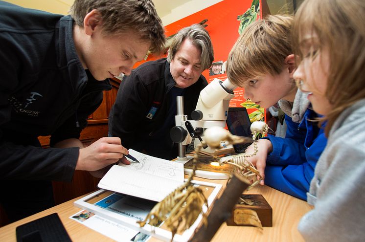 Naturhistorisk Museum, fossildagen og utdeling av støtte til fossiler