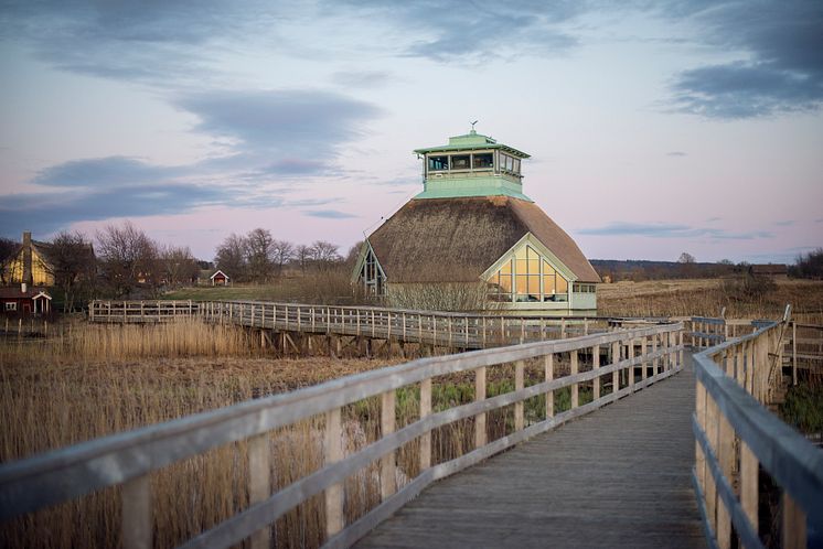 Naturum Hornborgasjön