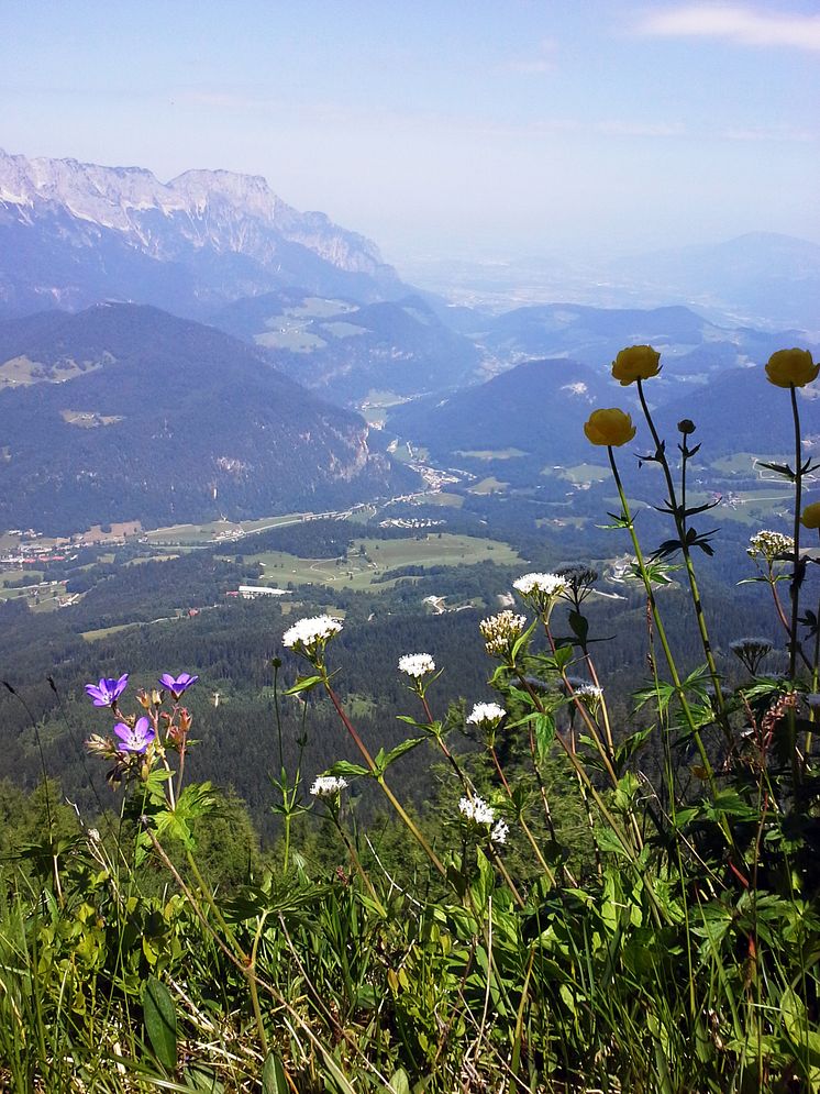 Utsikt i Saalbach Ölvemarks Holiday