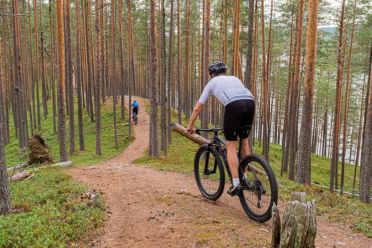 Cykla Isälvsleden