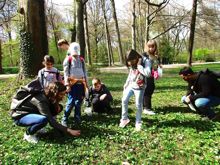 Kräuterwanderung im Englischen Garten