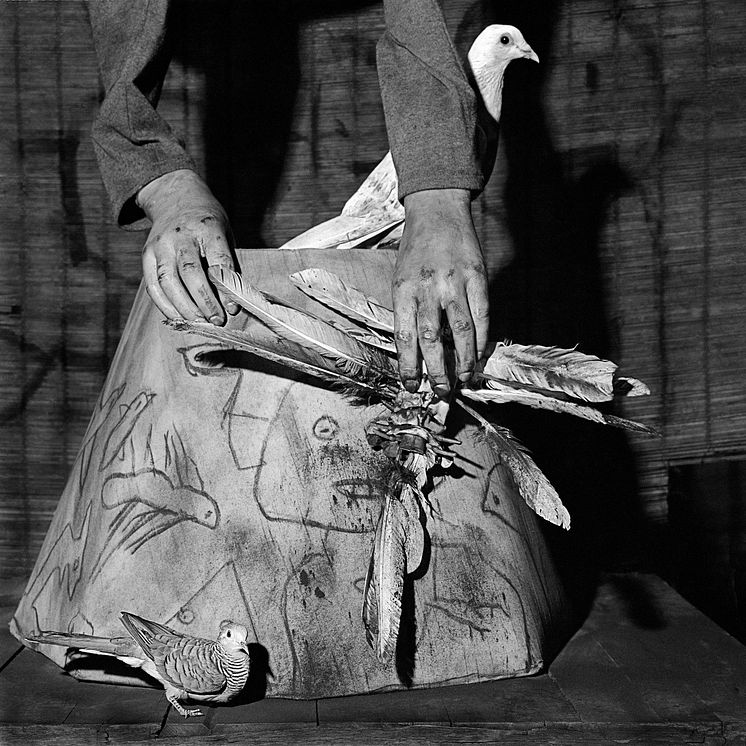 Roger_Ballen_Replica_2009. kred. Roger Ballen _ Landskrona Foto