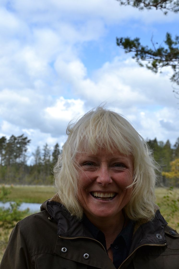 Guldyxan till vattenvän