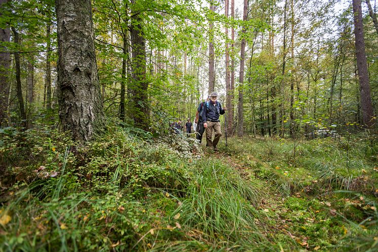 Hovdala och Mölleröd naturområde bjuder på varierande vandringsupplevelser