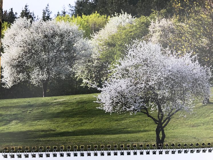 JDGP Kalender 2021 /Juli