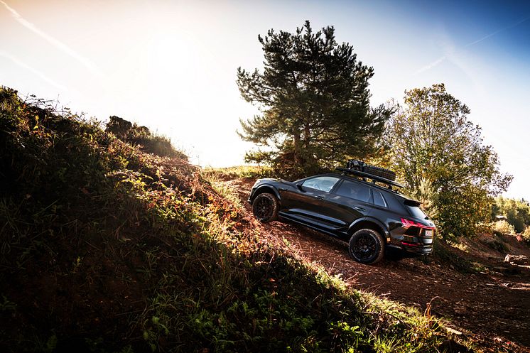 Audi Q8 e-tron edition Dakar