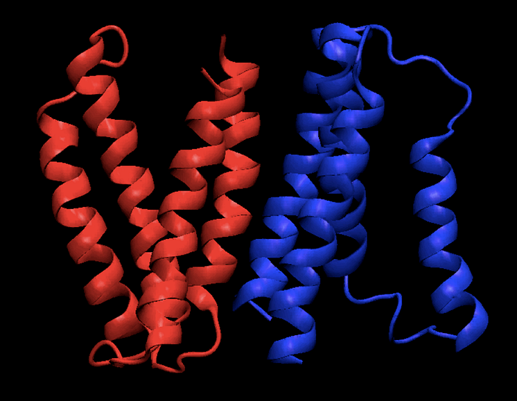 Ett typiskt membranprotein