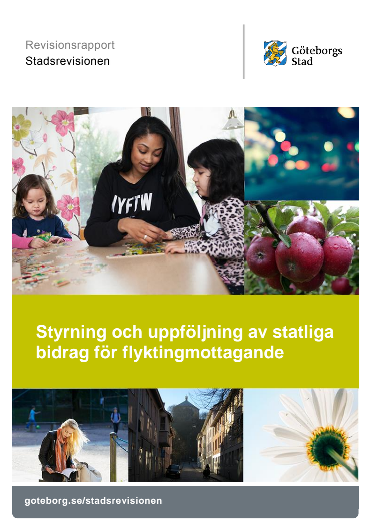 Rapport. Styrning och uppföljning av statliga bidrag för flyktingmottagande (2017-12-12)