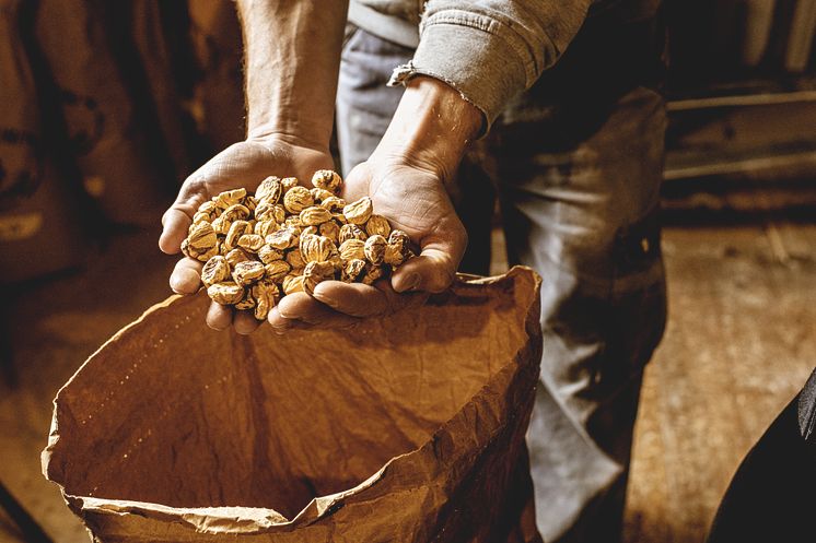 ST_3x2_Promontogno-Chestnuts_64099